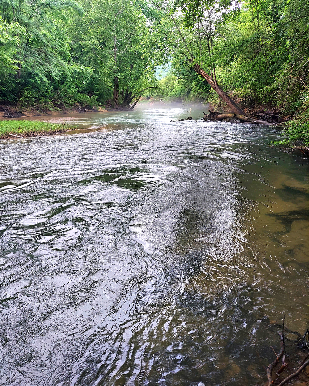 River and the GFNC